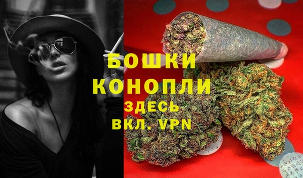 индика Вязники