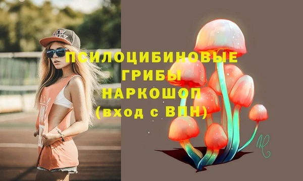 индика Вязники